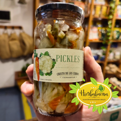 PICKLES MIXTOS 300 GR. CRISTO DE LOS CERROS