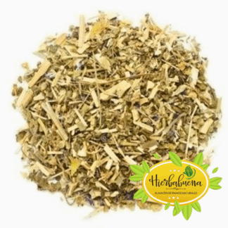 MALVA HIERBA