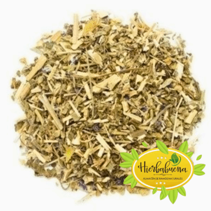 MALVA HIERBA