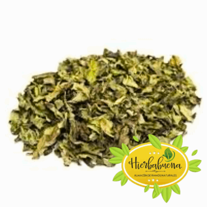 MENTA HIERBA
