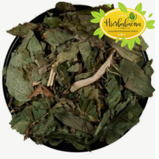 PEZUÑA DE VACA HIERBA