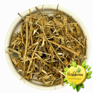 YERBA DEL SAPO O MARRUBIO HIERBA
