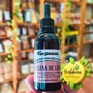 MELENA DE LEON 60 ML. FUNGIMANIA