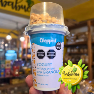 YOGURT NATURAL C//GRANOLA 170 GR. CHOPPED
