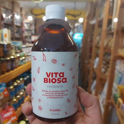 PROBIOTICA SABOR FRUTILLA 500 ML. VITA BIOSA