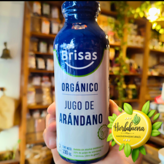 JUGO DE ARANDANO S//AZUCAR 330 CC. LAS BRISAS