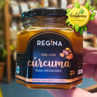 MIEL CON CURCUMA 220 GR. REGINA