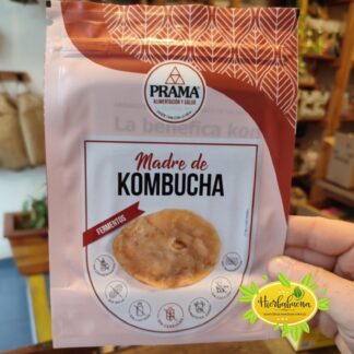 MADRE DE KOMBUCHA 2 GR. PRAMA
