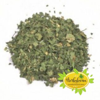 MORINGA HIERBA