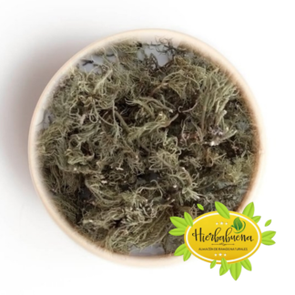 YERBA DE LA PIEDRA HIERBA